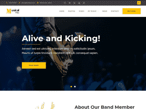 Diseño de paginas web para musicos musical vibe